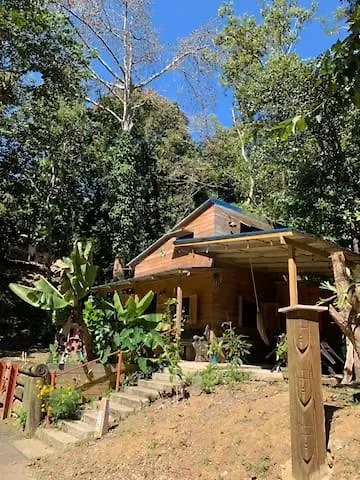 Vila Casa Di Alma Y Casa Alpina Pr Cidra
